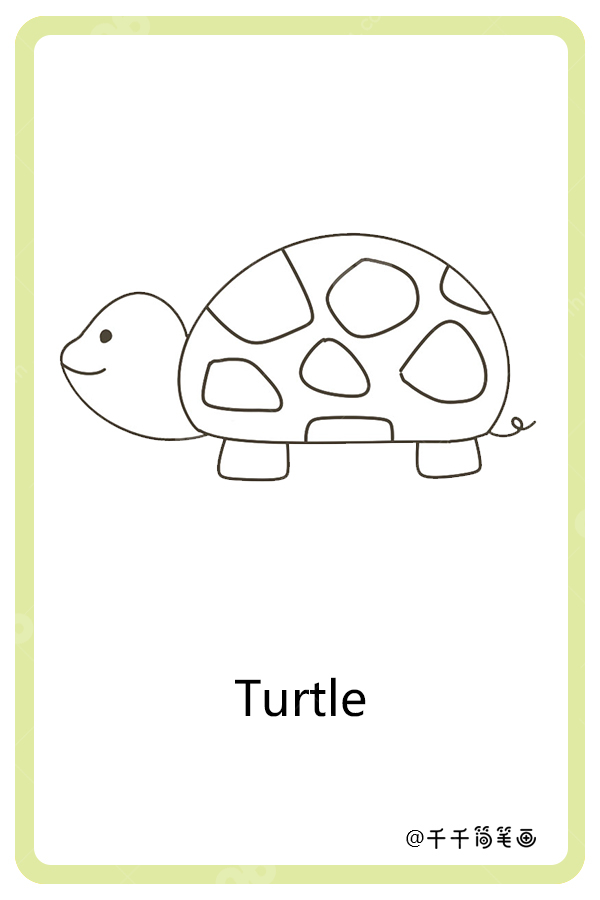 儿童英语词汇认知 龟turtle