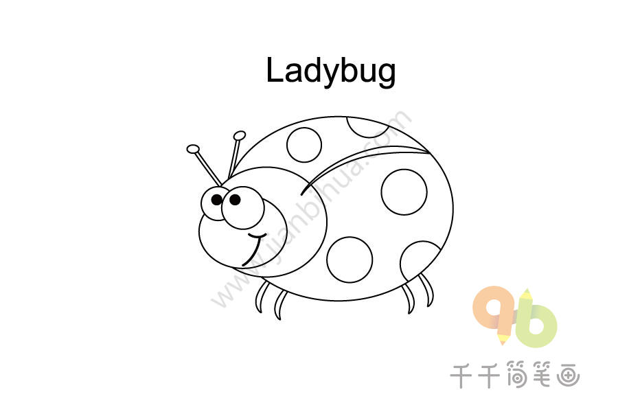 宝宝英文认知 红色七星瓢虫简笔画lady beetle