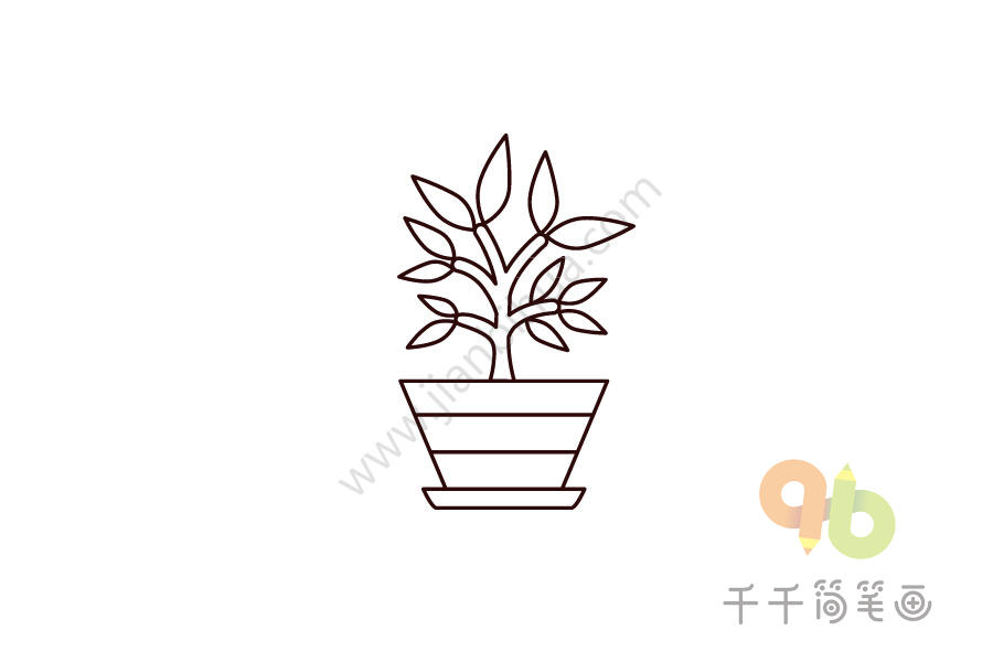 小清新盆栽简笔画,可爱盆栽简笔画,100种盆栽植物简笔画 声明:部分