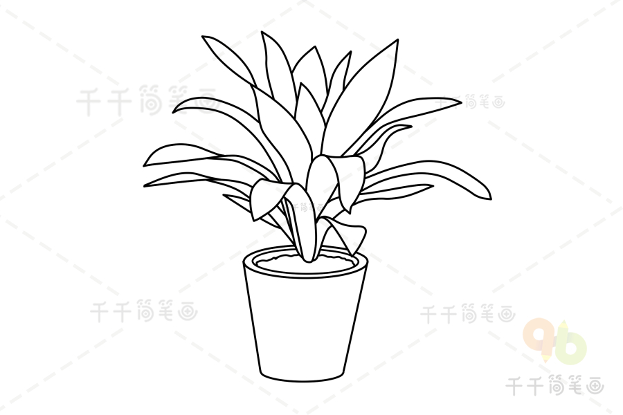 植物 盆景 香龙血树盆栽简笔画  超全手绘盆栽简笔画彩色,简笔画香