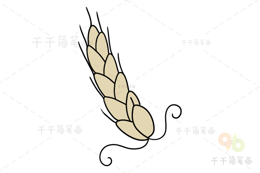 麦穗简笔画图片