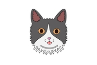 q版猫怎么画