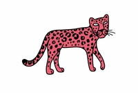 粉红豹简笔画步骤图,豹,别名金钱豹,花豹,豹虎,拉丁文名leopard