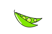 豆角简笔画,豆角(vigna unguiculata) ,又叫做豇豆,是
