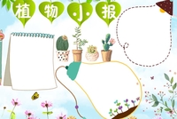植物小报手抄报图片