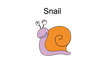        宝宝英文认知 缓慢的蜗牛