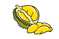榴莲简笔画画法