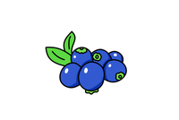 如何画蓝莓简笔画