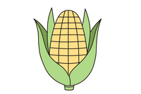 黄灿灿的玉米简笔画步骤图