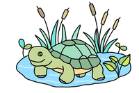 乌龟简笔画跳伞的乌龟简笔画简单好看的乌龟简笔画可爱的小乌龟简笔画