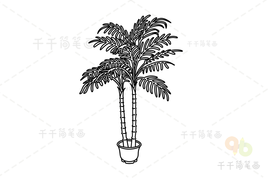 散尾葵简笔画步骤图