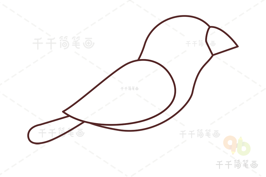文鸟简笔画