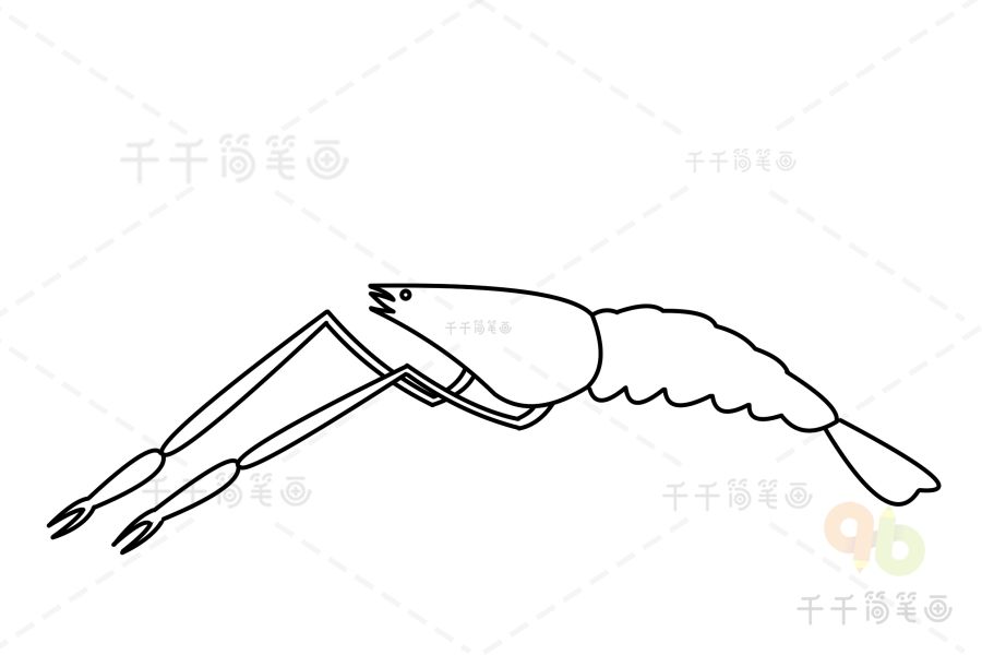 罗氏沼虾简笔画