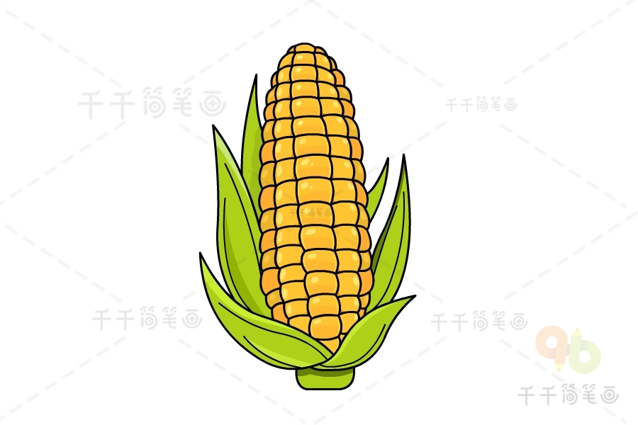 金黄的玉米简笔画步骤教程_农作物简笔画