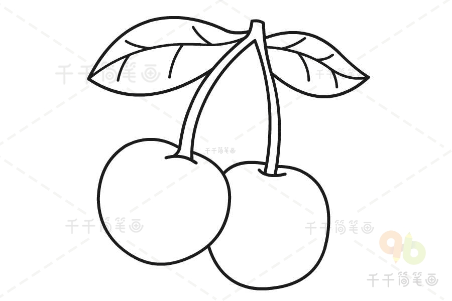 第五步:在右侧画出另一个樱桃的果实.