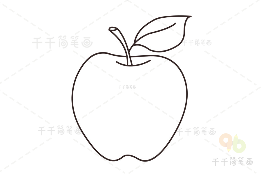 第三步:沿着果柄画出苹果的果实.