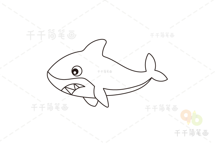 简笔画鲨鱼的画法步骤图解教程