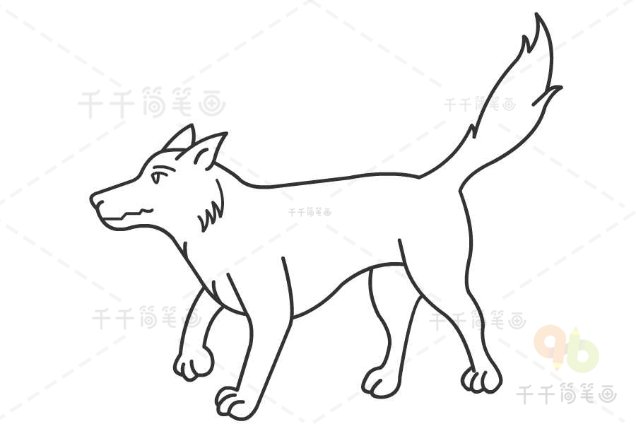 第三步:将狼的身体补充完成并画出狼长长的尾巴.