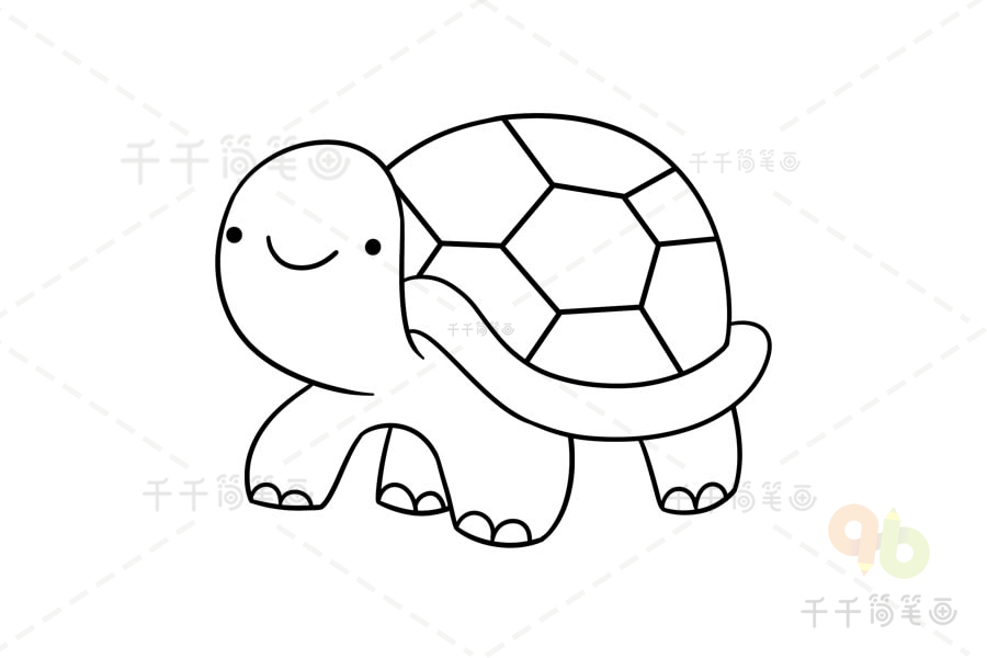 教你如何画可爱的小乌龟简笔画