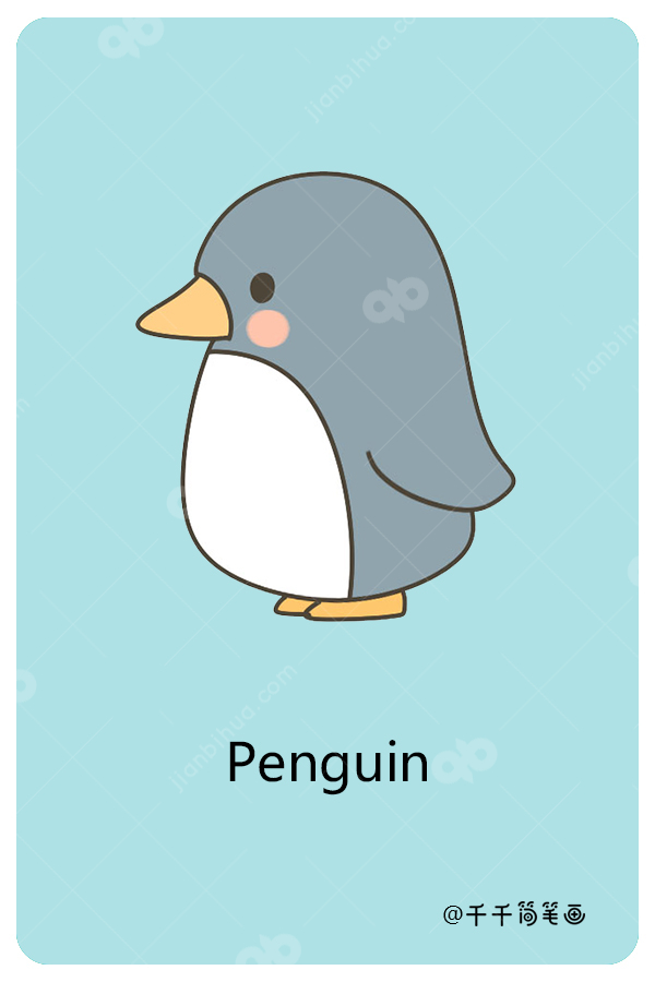 企鹅英语怎么写图片