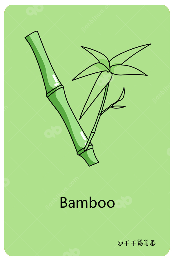 竹子用英语怎么说图片