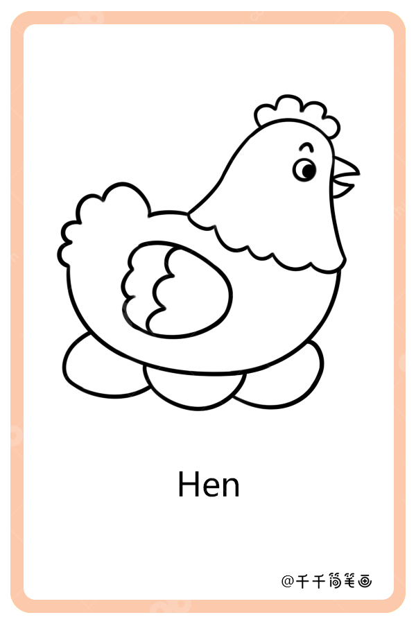 儿童英语词汇认知母鸡hen 动物英文认知简笔画