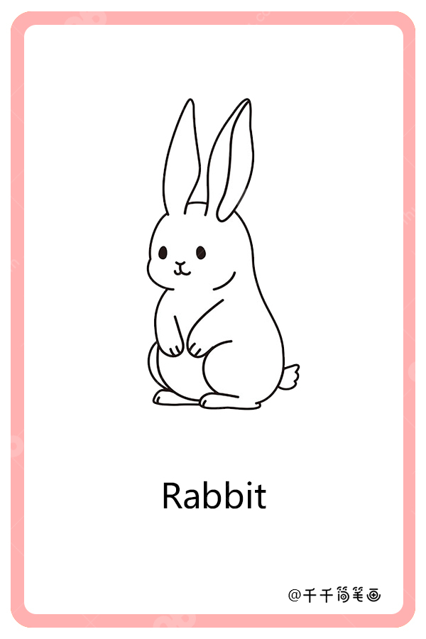 儿童英语词汇认知兔子rabbit
