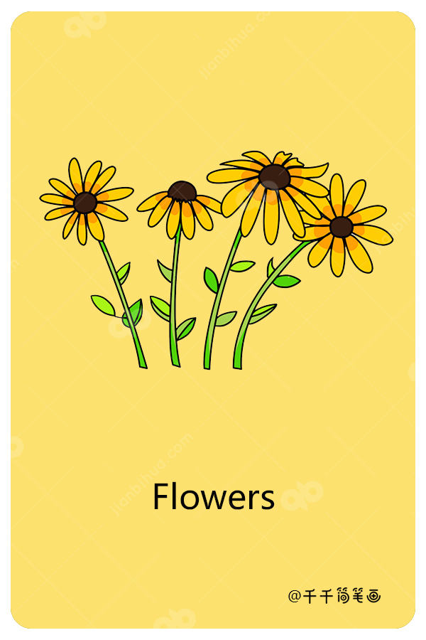 儿童英语词汇认知花flowers 植物英文认知