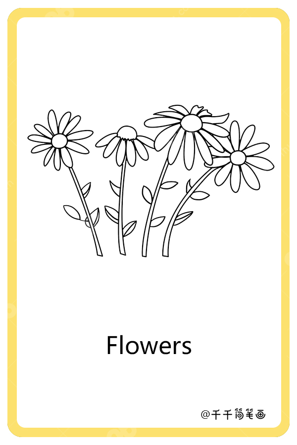 儿童英语词汇认知花flowers 植物英文认知