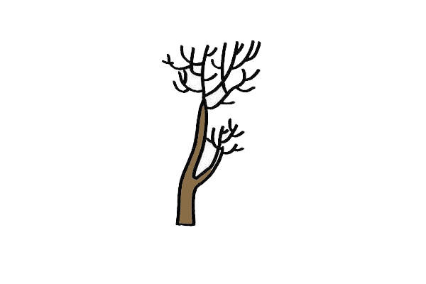 白桦树怎么画简单简笔图片