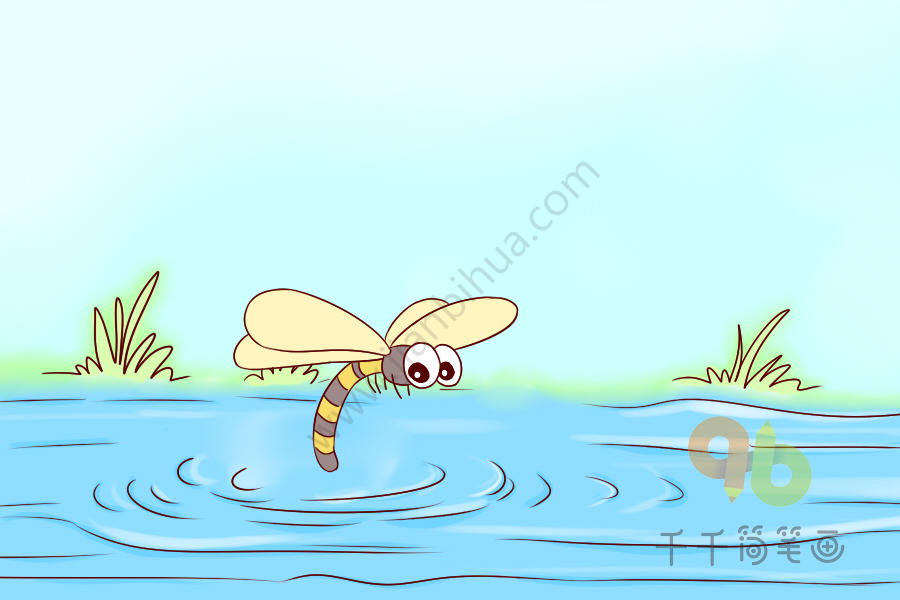 蜻蜓点水的简笔画图片