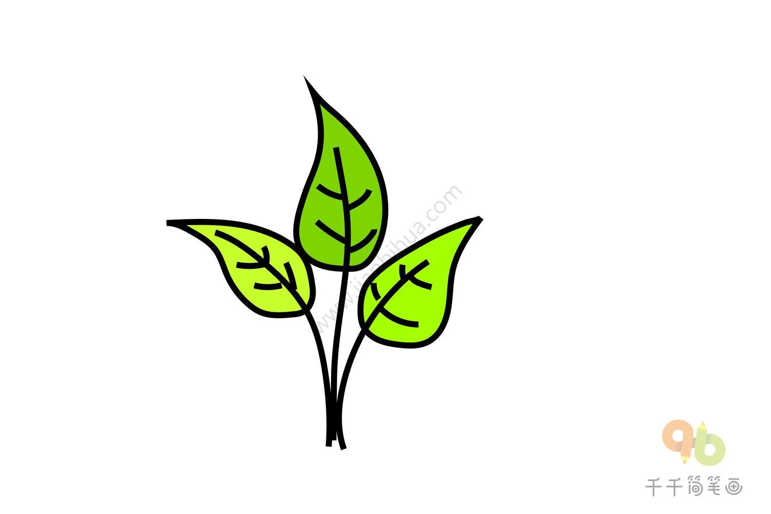 绿色植物。绘者：|简笔画|绿色植物|铃铛_新浪新闻