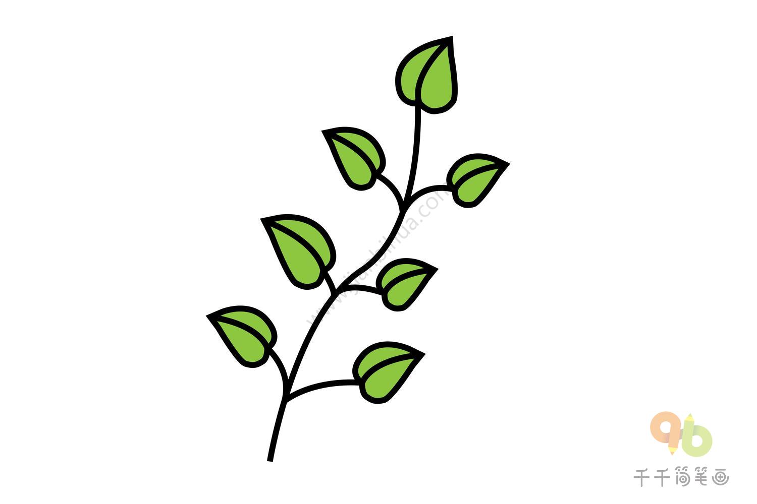 怎么画树叶简单又好看 简易叶子画法教程（简笔画大全花草） - 有点网 - 好手艺