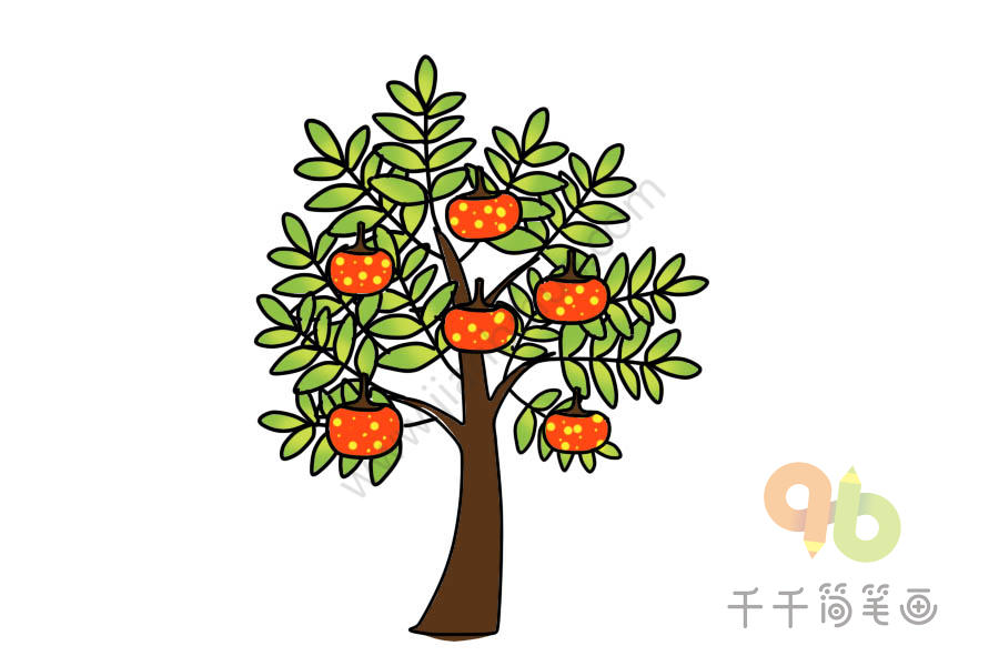 秋天的柿子树简笔画图片