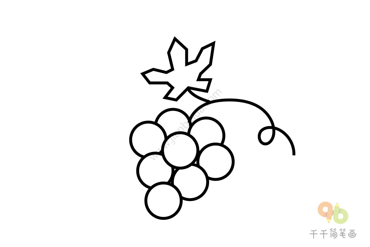 简单葡萄串的简笔画画法图片步骤 肉丁儿童网
