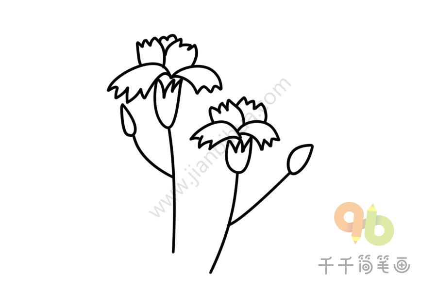 花各部位的简笔画 花各部位的简笔画画法 花各部位的简笔画 花各部位的简笔画画法