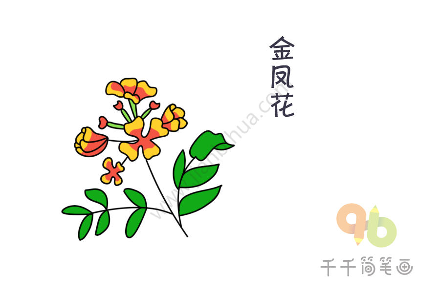 金凤花简笔画图片花朵简笔画大全,花朵需要我们的细