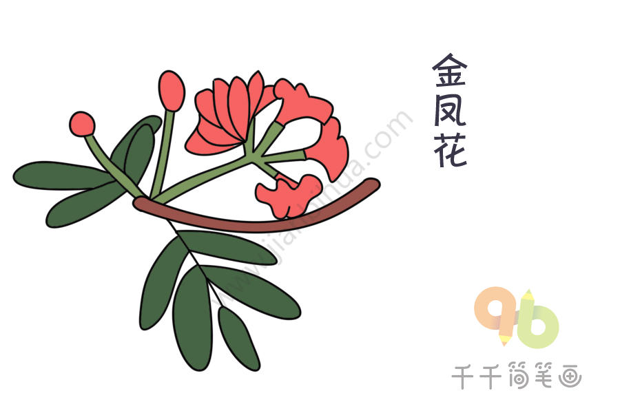 鲜艳的花朵简笔画大全集