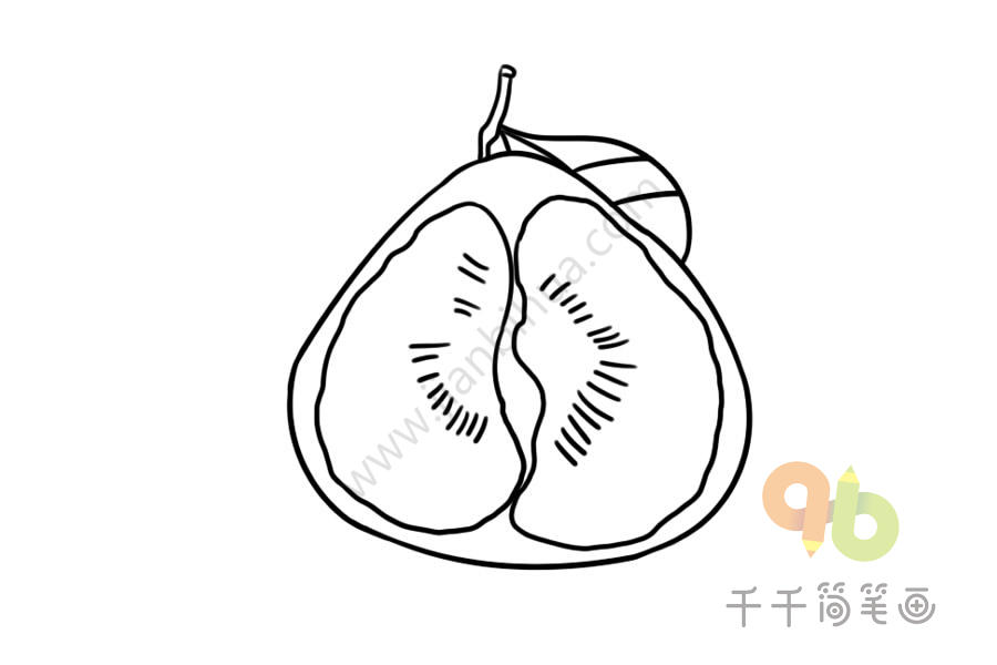 好吃的柚子简笔画