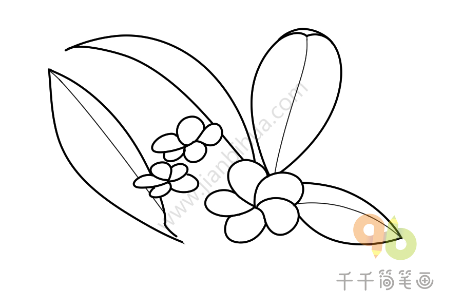 如何画鸡蛋花简笔画