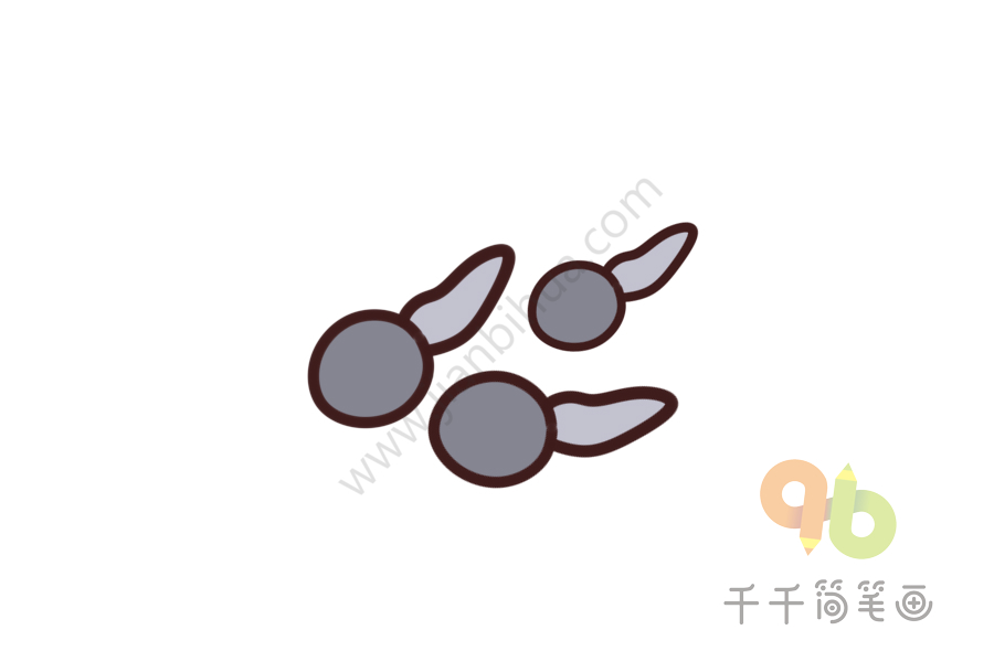 幼儿英语启蒙 认识蝌蚪的英文单词