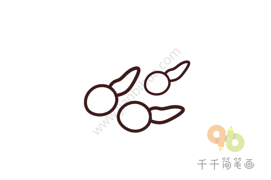 幼儿英语启蒙 认识蝌蚪的英文单词