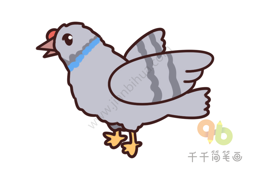 幼儿英语启蒙 认识鸽子的英文单词简笔画