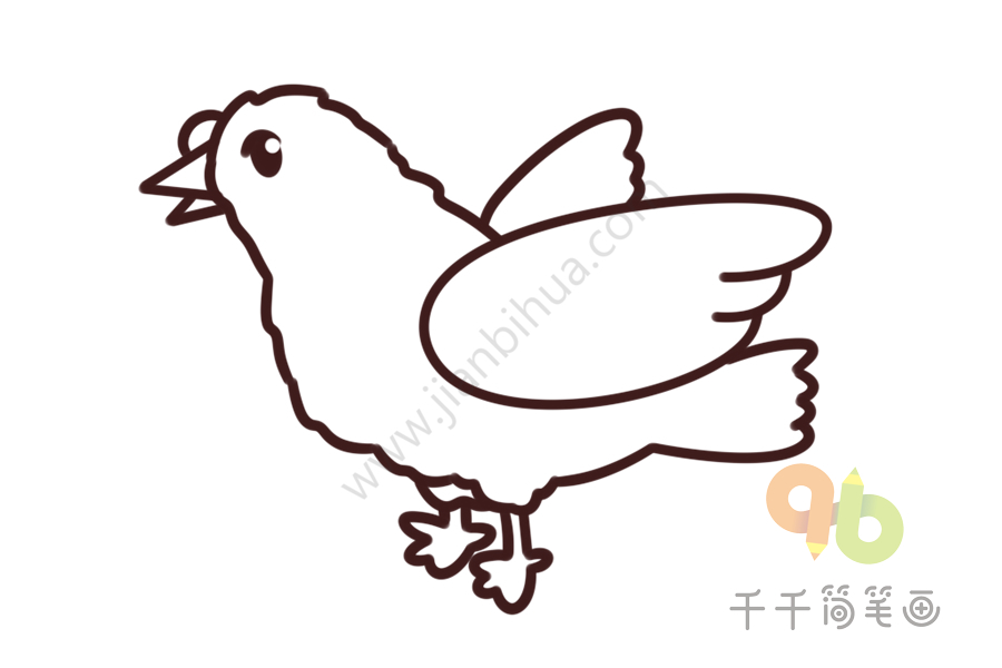 幼儿英语启蒙 认识鸽子的英文单词简笔画