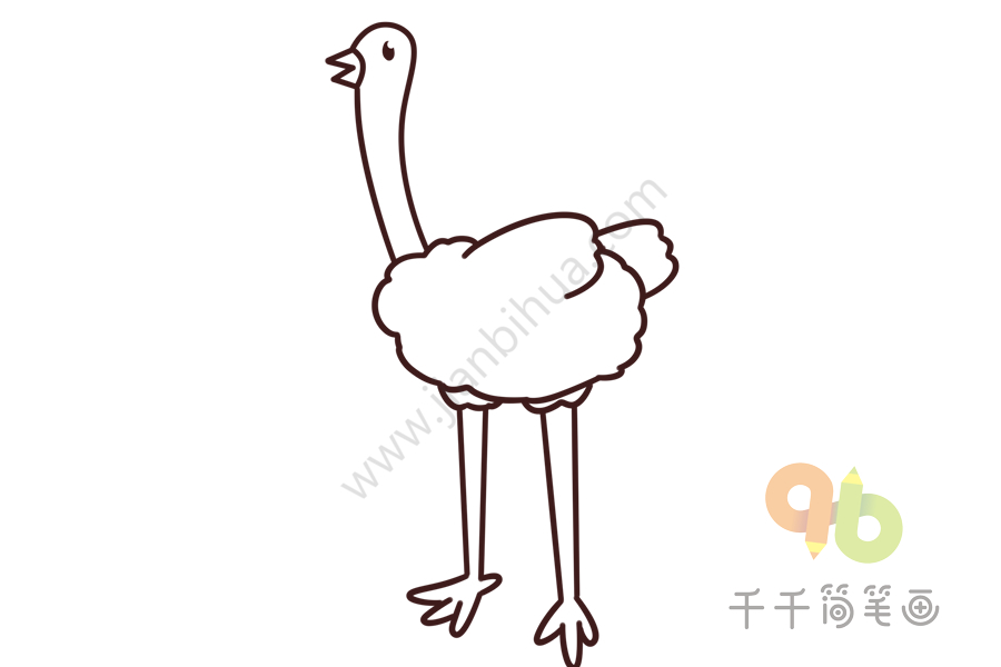 幼儿英语启蒙 边学边画鸵鸟的英文单词