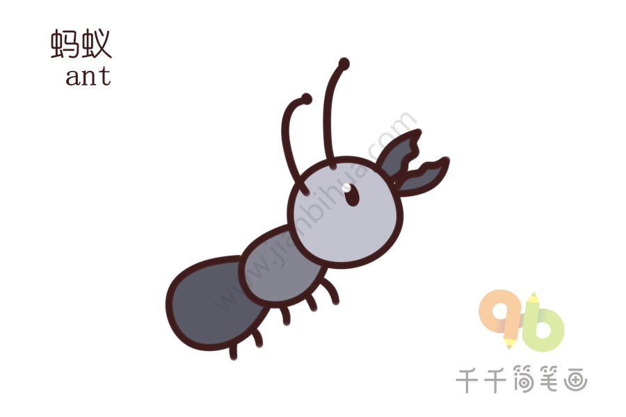 儿童学英语 学习蚂蚁的英文单词