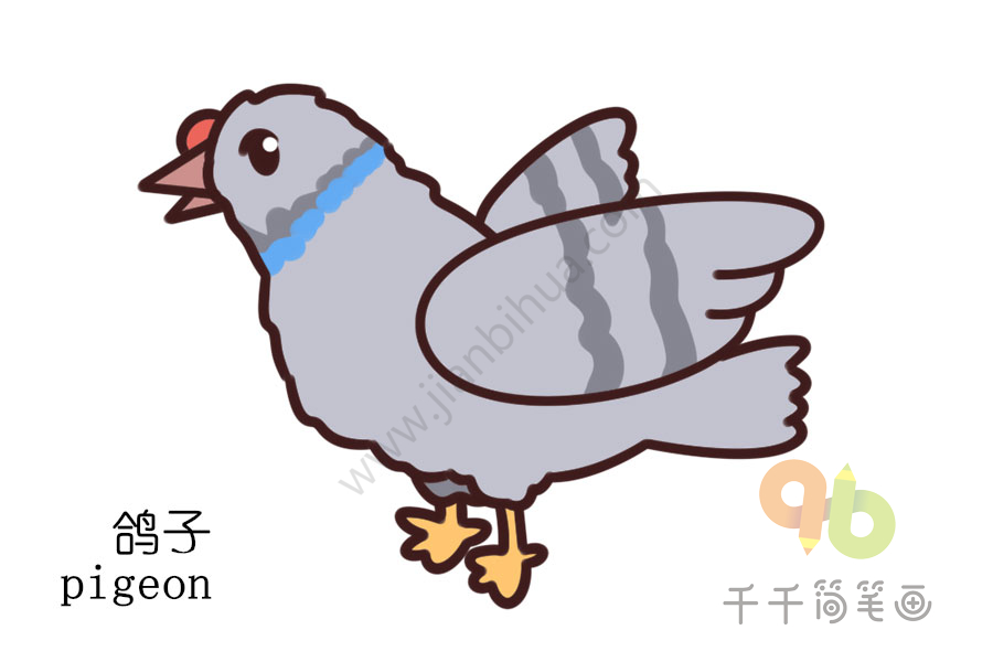 幼儿英语启蒙 认识鸽子的英文单词简笔画