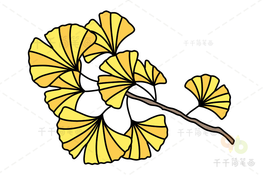 银杏叶简笔画怎样画