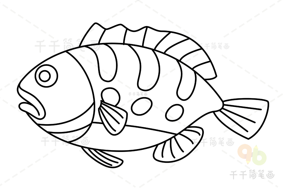 石斑鱼简笔画_海洋动物