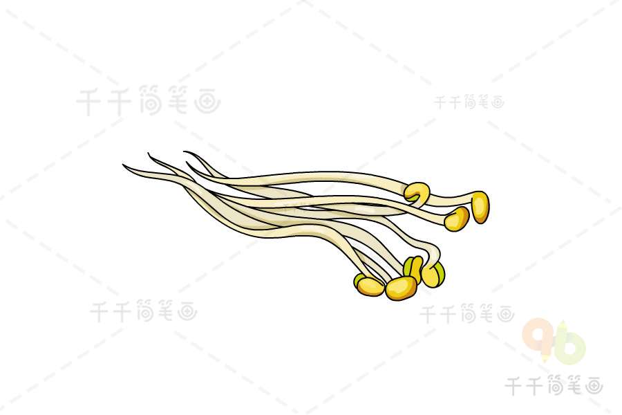 豆芽菜图片简笔画图片